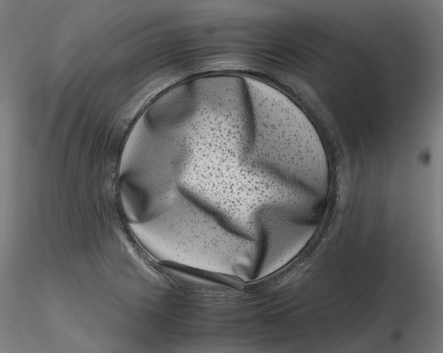 X0000116781225201001071230