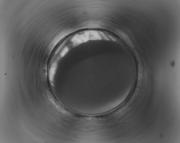 X0000116781226201001071230