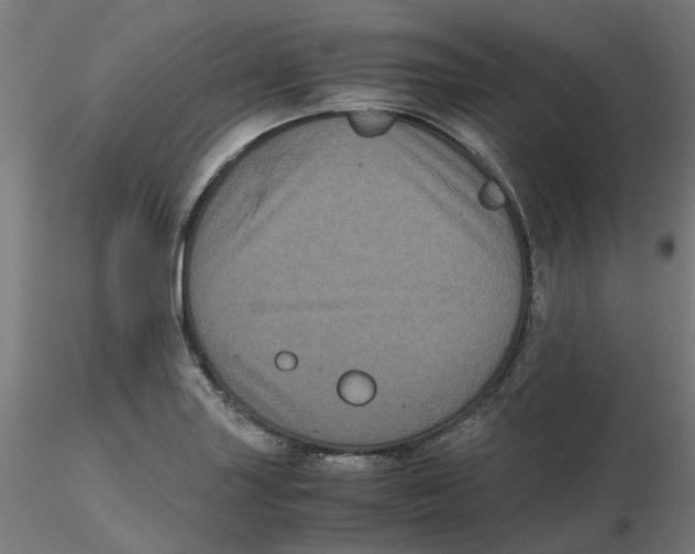 X0000116781227201001071230