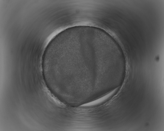 X0000116781230201001071230