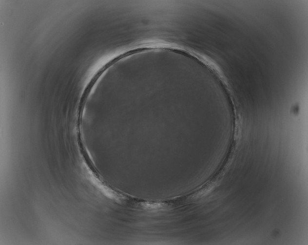 X0000116781231201001071230