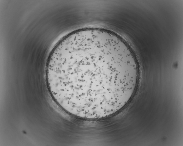 X0000116781232201001071230