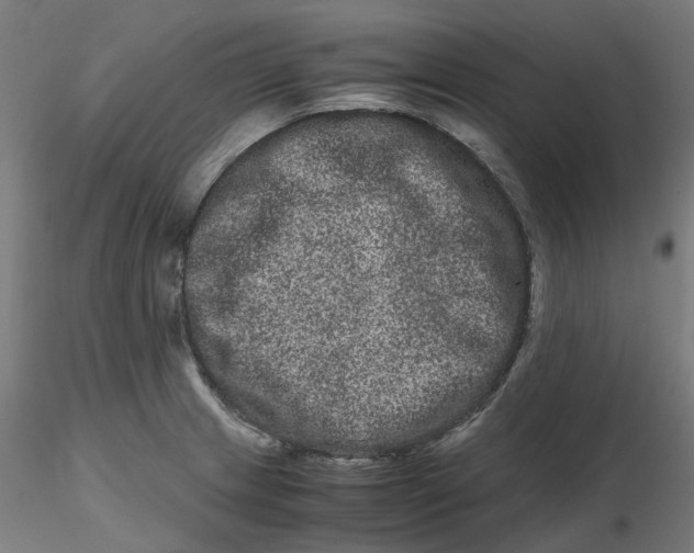 X0000116781233201001071230