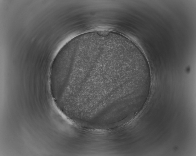 X0000116781235201001071230