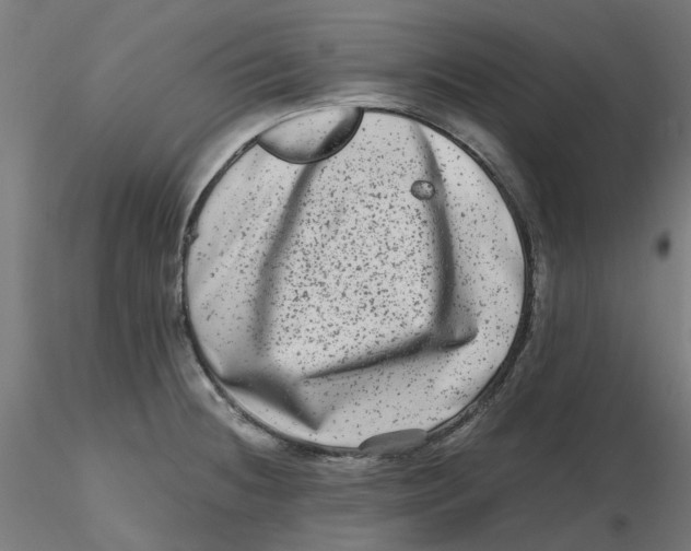 X0000116781236201001071230