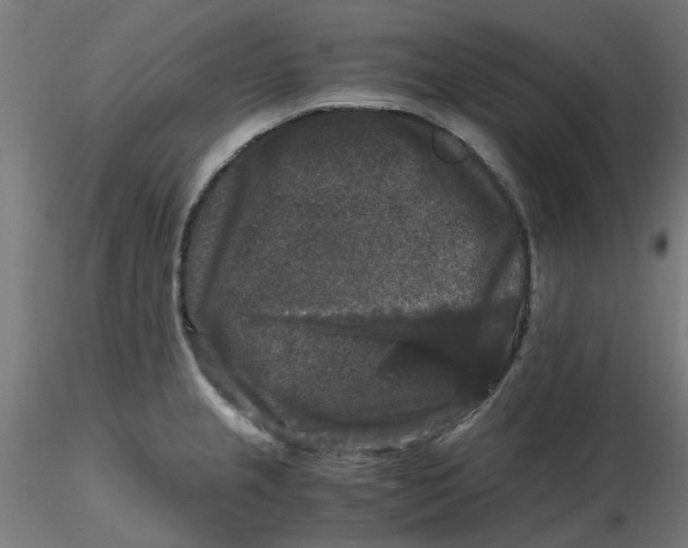 X0000116781237201001071230