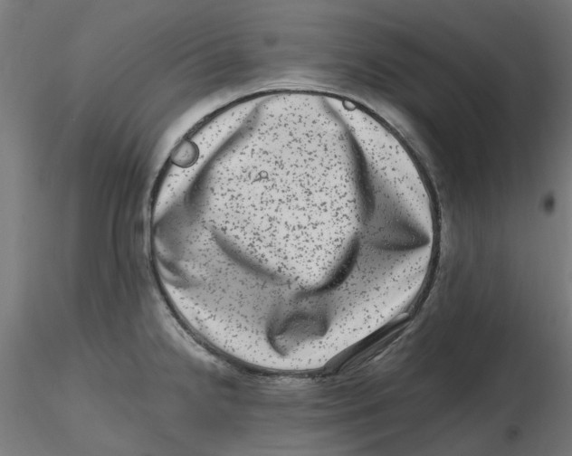 X0000116781238201001071230