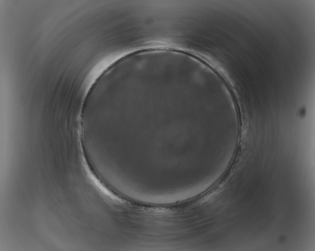 X0000116781239201001071230