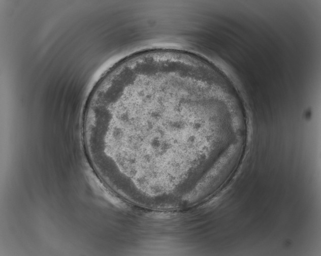 X0000116781240201001071230