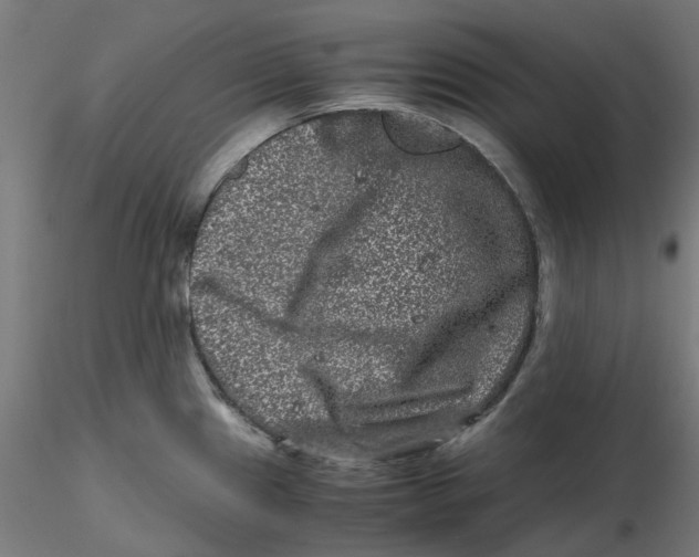 X0000116781241201001071230