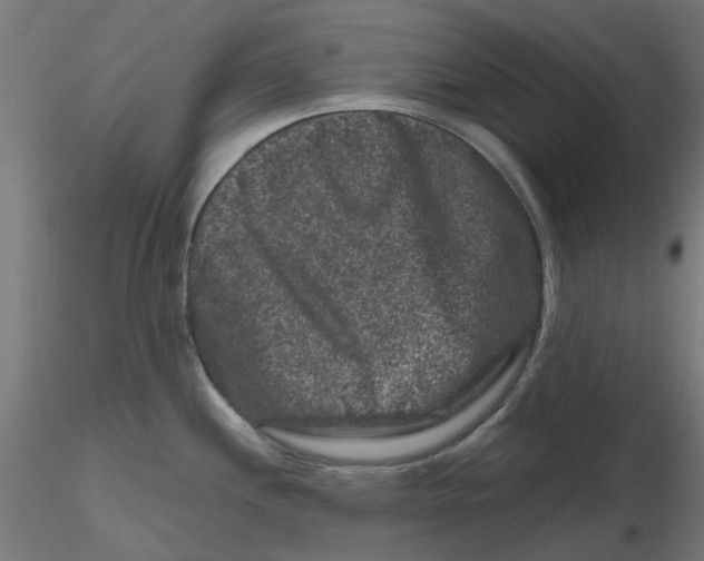 X0000116781244201001071230