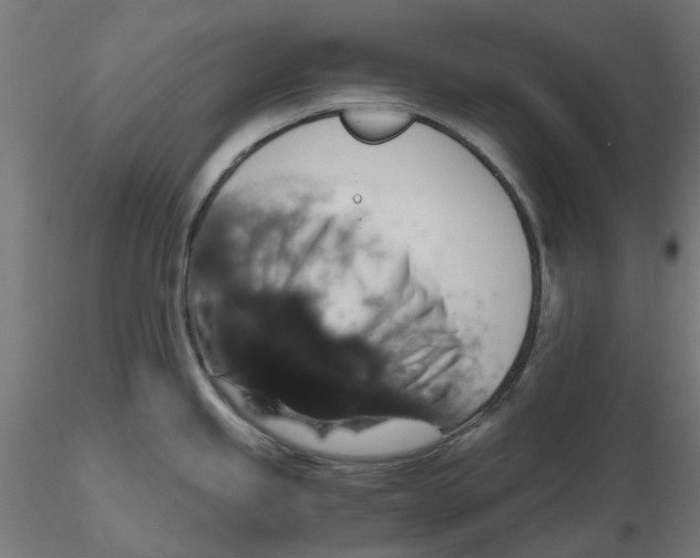 X0000116781245201001071230