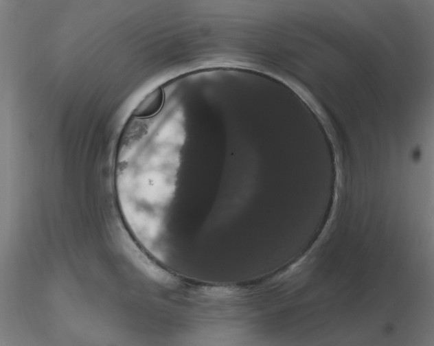 X0000116781246201001071230