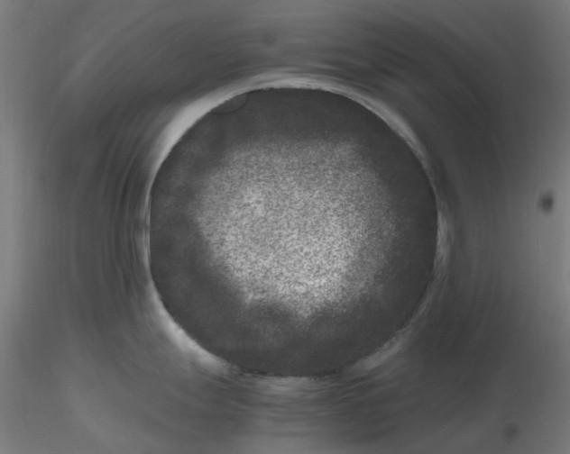 X0000116781247201001071230