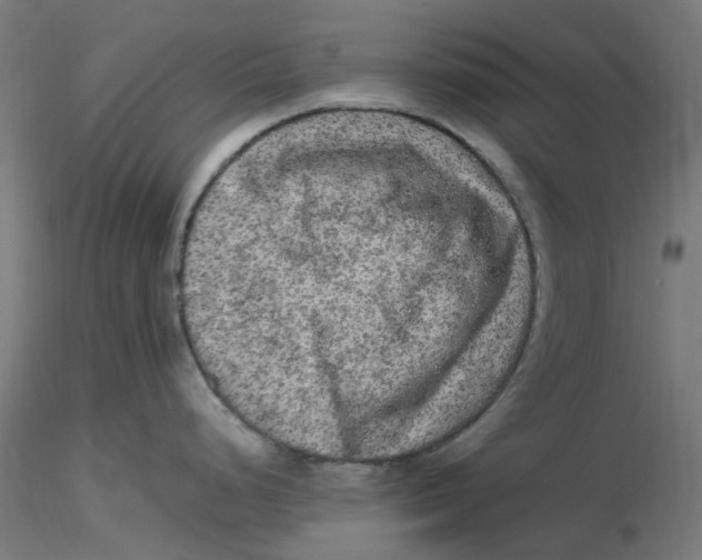 X0000116781248201001071230