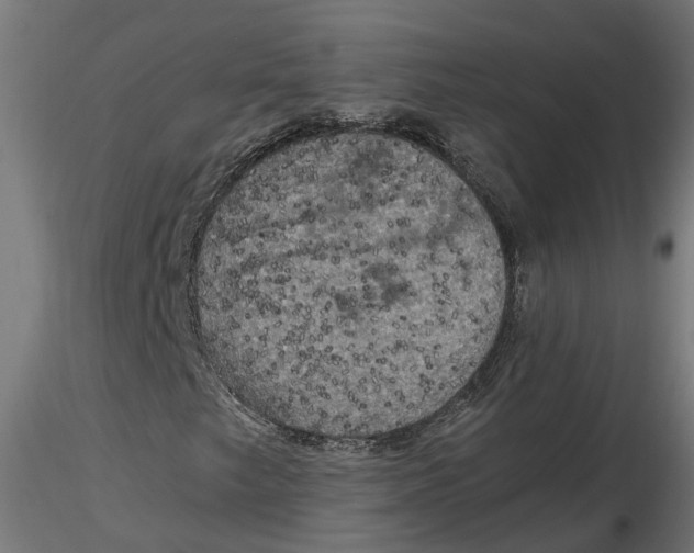 X0000116781249201001071230