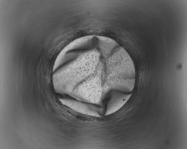 X0000116781250201001071230