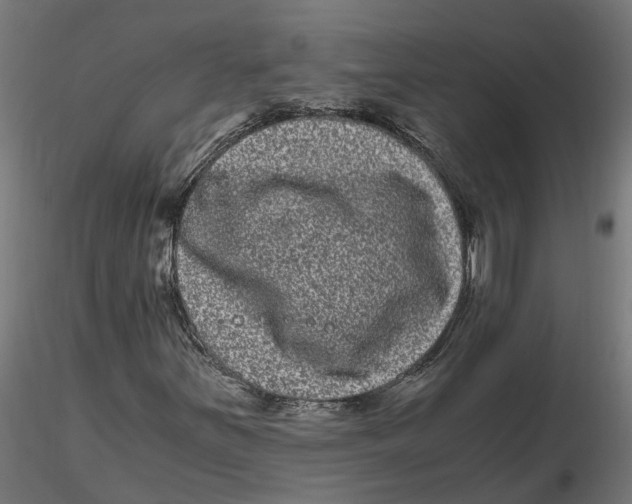 X0000116781251201001071230