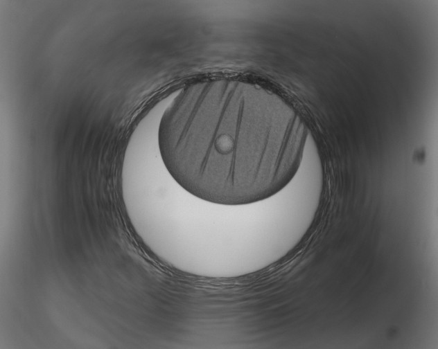 X0000116781252201001071230