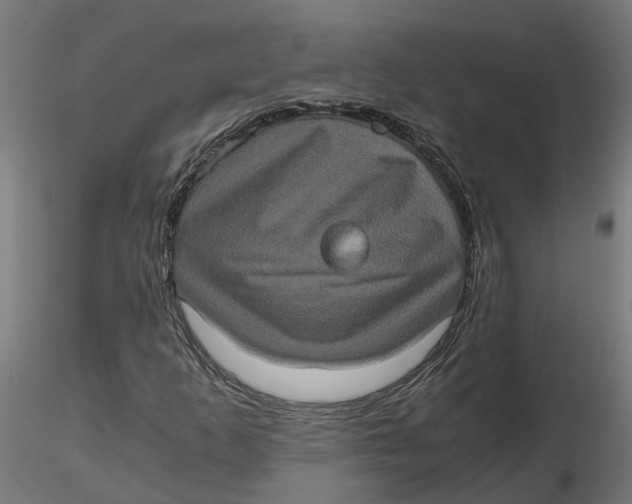 X0000116781253201001071230