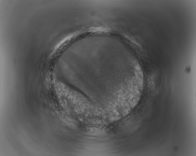 X0000116781254201001071230