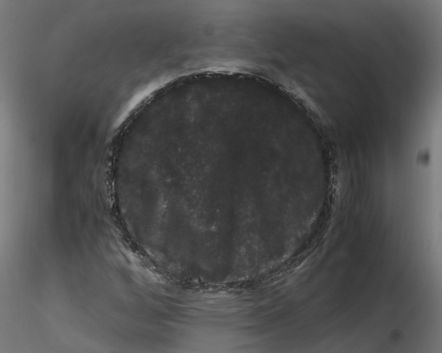 X0000116781256201001071230