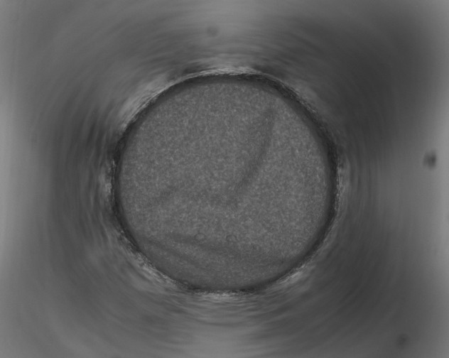 X0000116781257201001071230