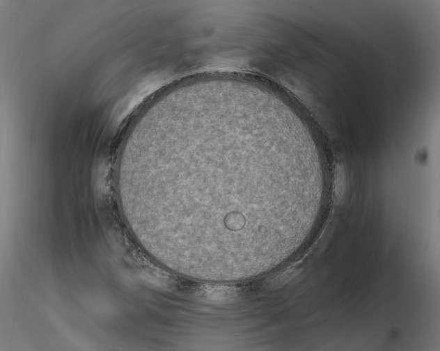 X0000116781258201001071230