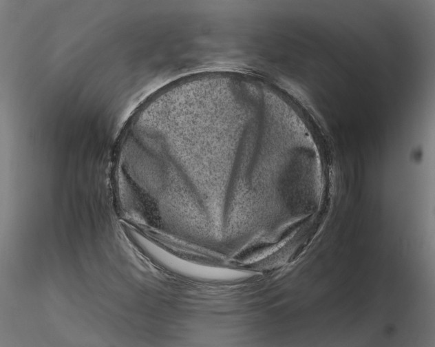 X0000116781260201001071230