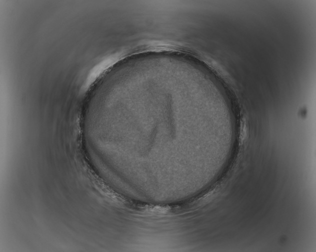 X0000116781261201001071230