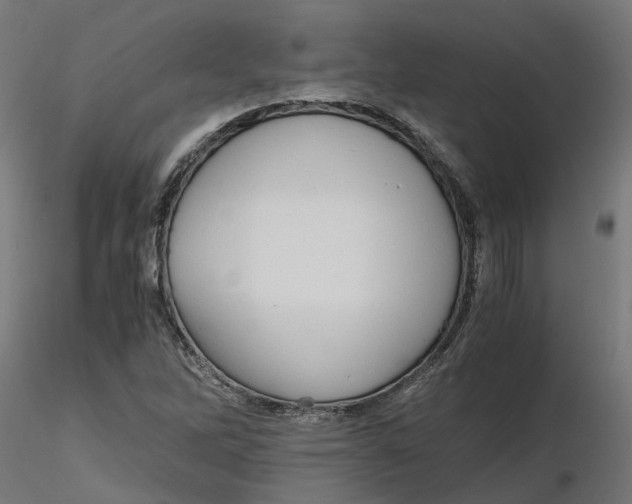 X0000116781262201001071230