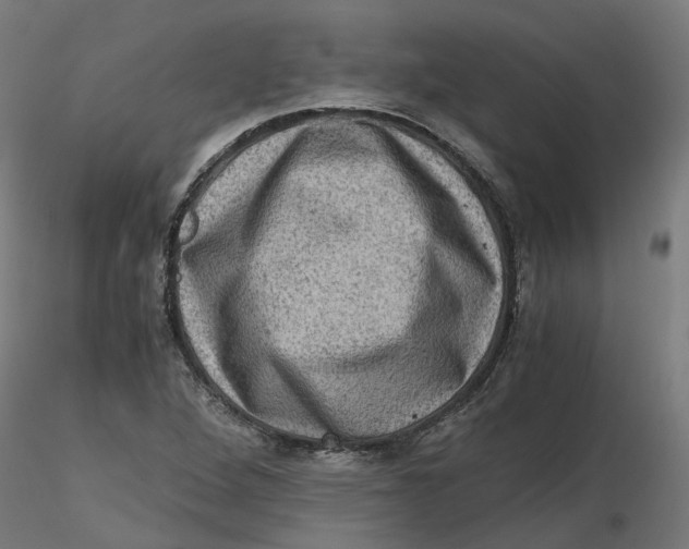 X0000116781264201001071229