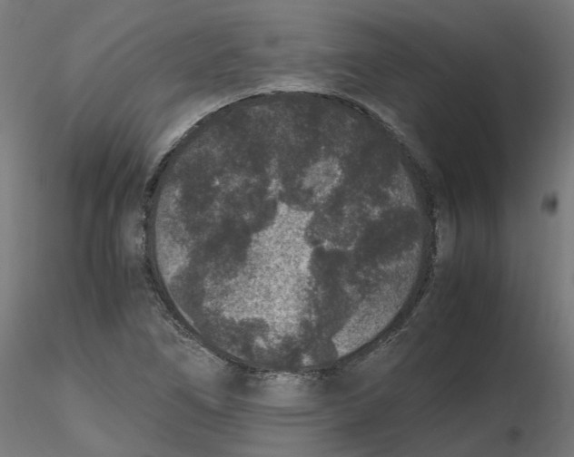 X0000116781266201001071229