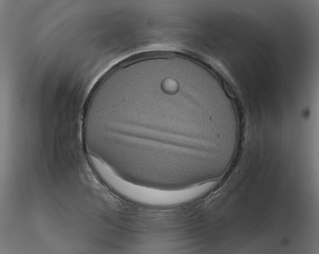 X0000116781268201001071229