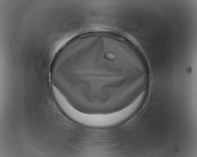 X0000116781269201001071229