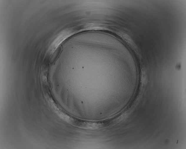 X0000116781273201001071229