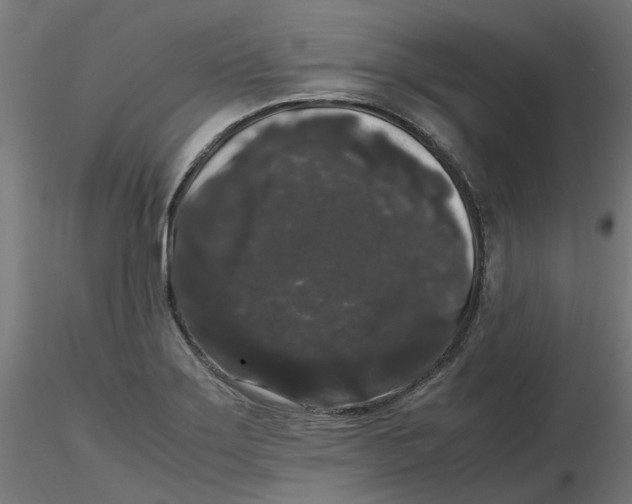 X0000116781275201001071229