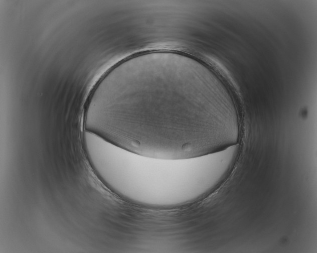 X0000116781276201001071229