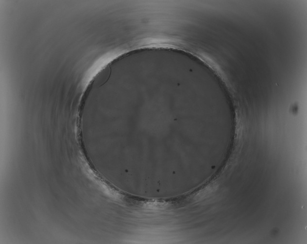 X0000116781277201001071229