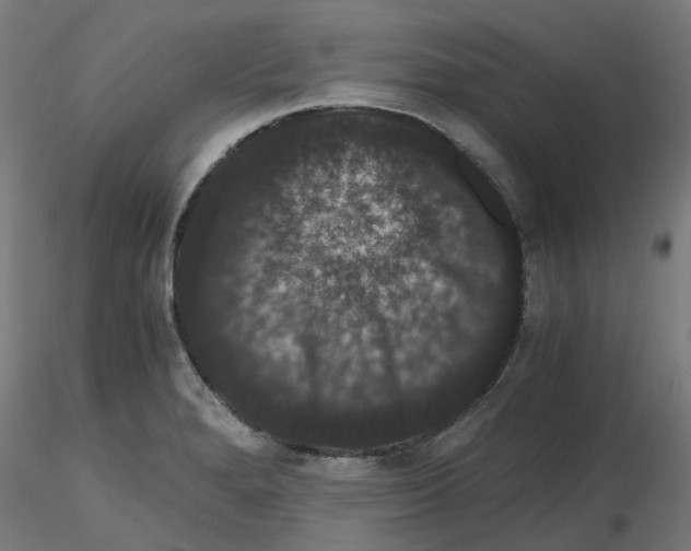 X0000116781280201001071229