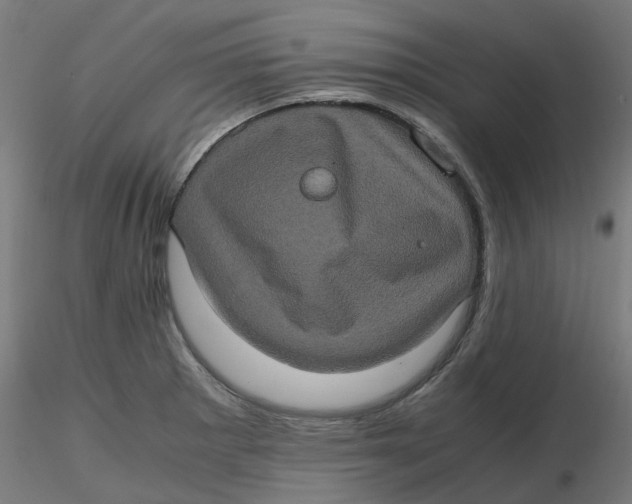 X0000116781281201001071229