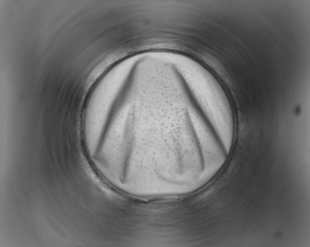 X0000116781282201001071229