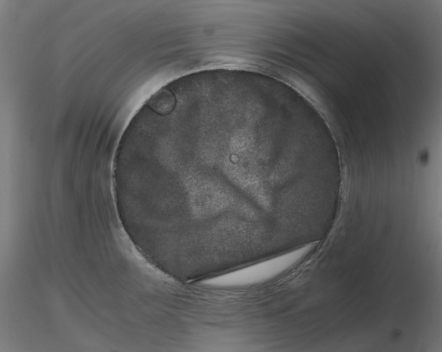 X0000116781283201001071229