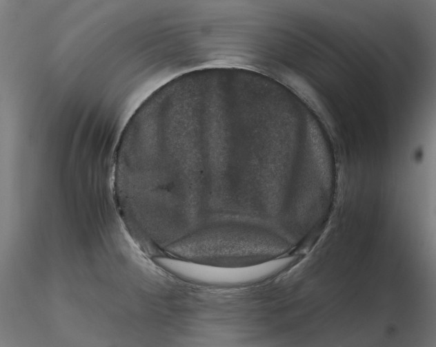 X0000116781284201001071229