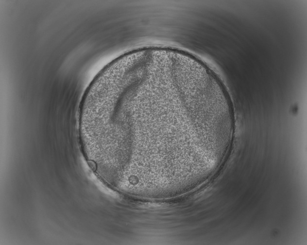 X0000116781287201001071229