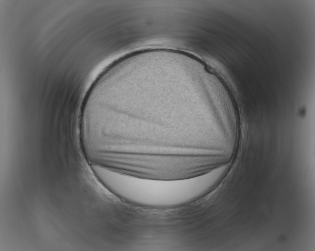 X0000116781288201001071229