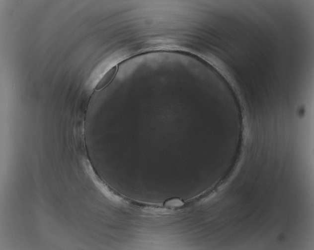 X0000116781289201001071229