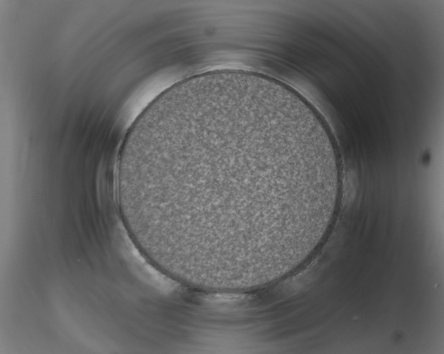 X0000116781290201001071229