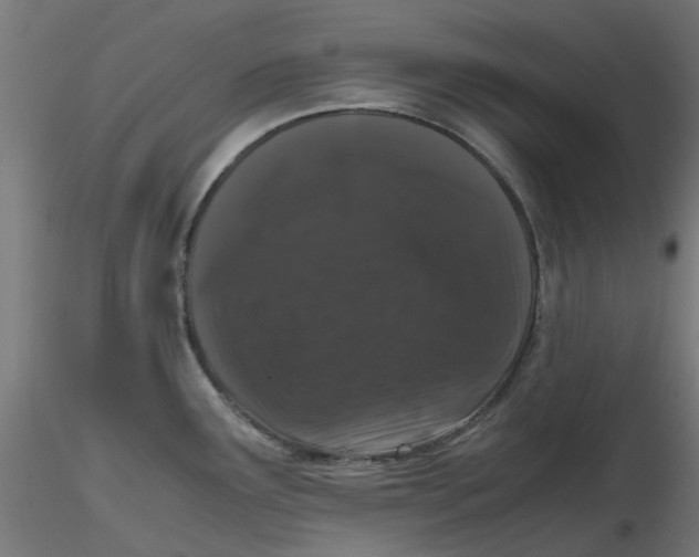 X0000116781291201001071229