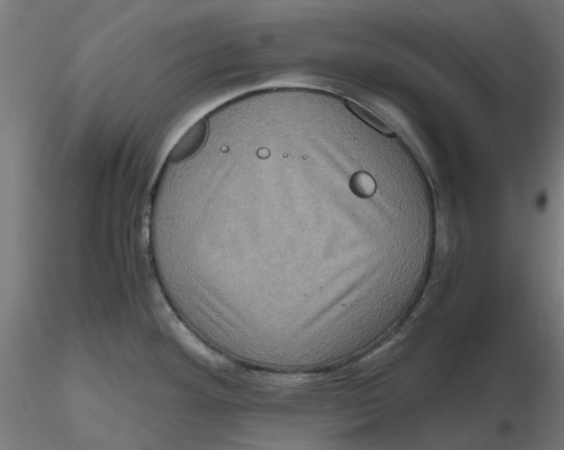 X0000116781292201001071229